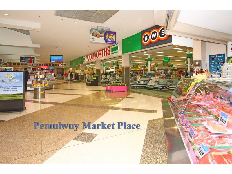 11 Naying Drive, Pemulwuy NSW 2145