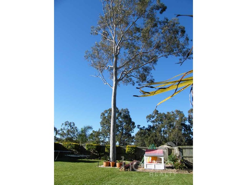 167 College Rd, Karana Downs QLD 4306