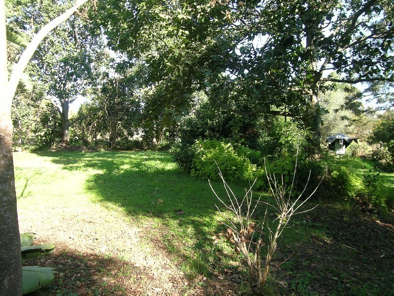 12 Sellars Street, Karana Downs QLD 4306