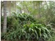54 Kulmaren Grove, Karana Downs QLD 4306