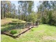 31 Kindra Avenue, Karana Downs QLD 4306