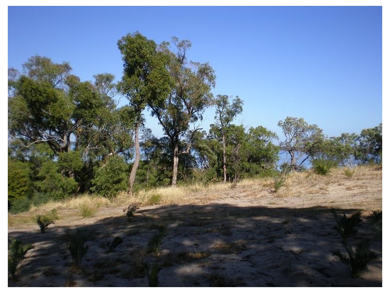 19 Wildflower Way, Leschenault WA 6233