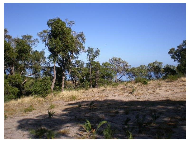 19 Wildflower Way, Leschenault WA 6233