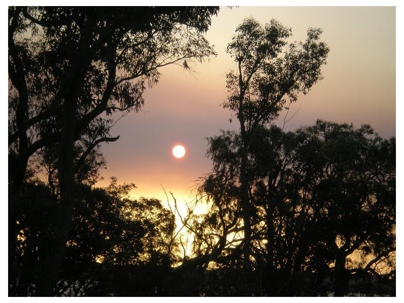 19 Wildflower Way, Leschenault WA 6233