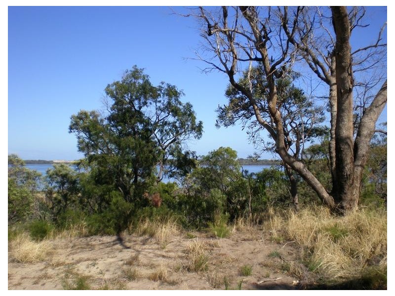 19 Wildflower Way, Leschenault WA 6233