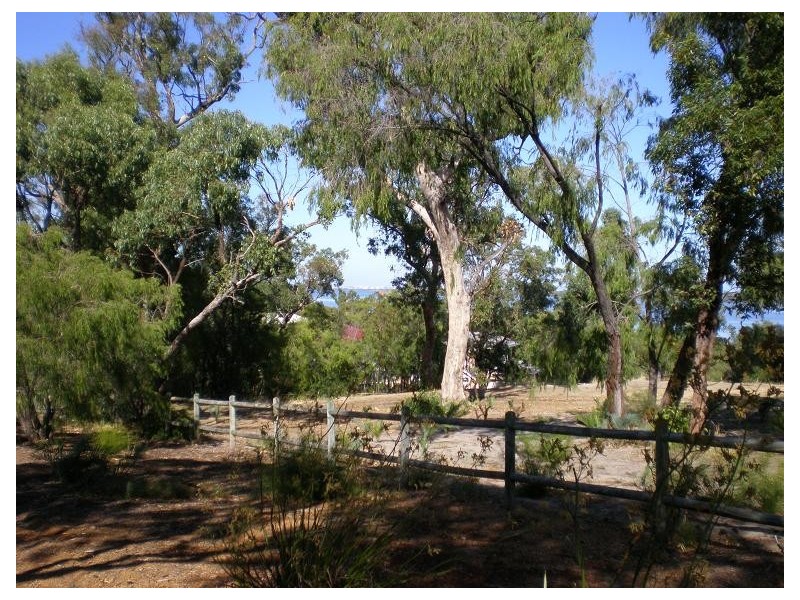 19 Wildflower Way, Leschenault WA 6233