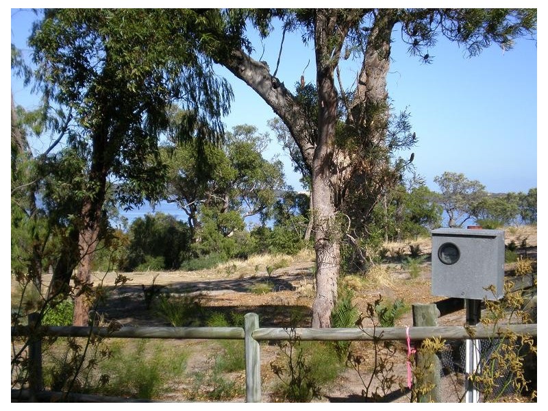 19 Wildflower Way, Leschenault WA 6233