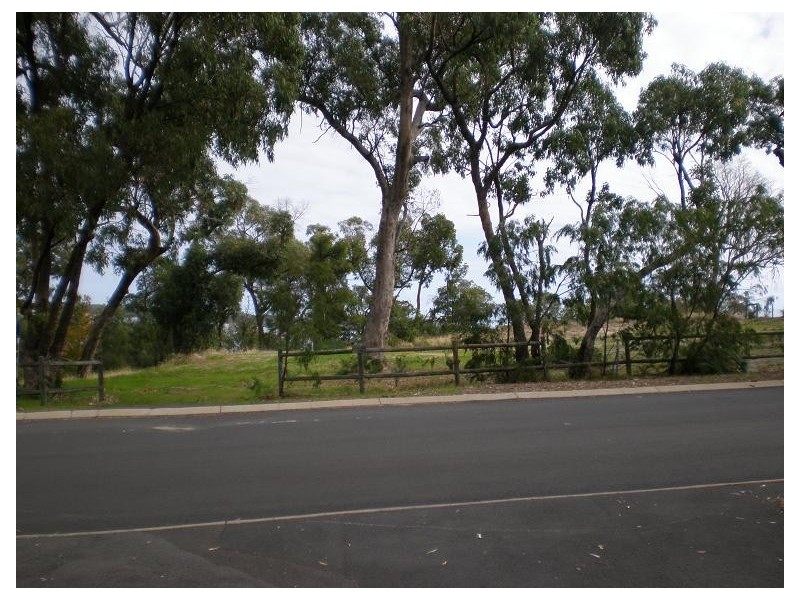 19 Wildflower Way, Leschenault WA 6233