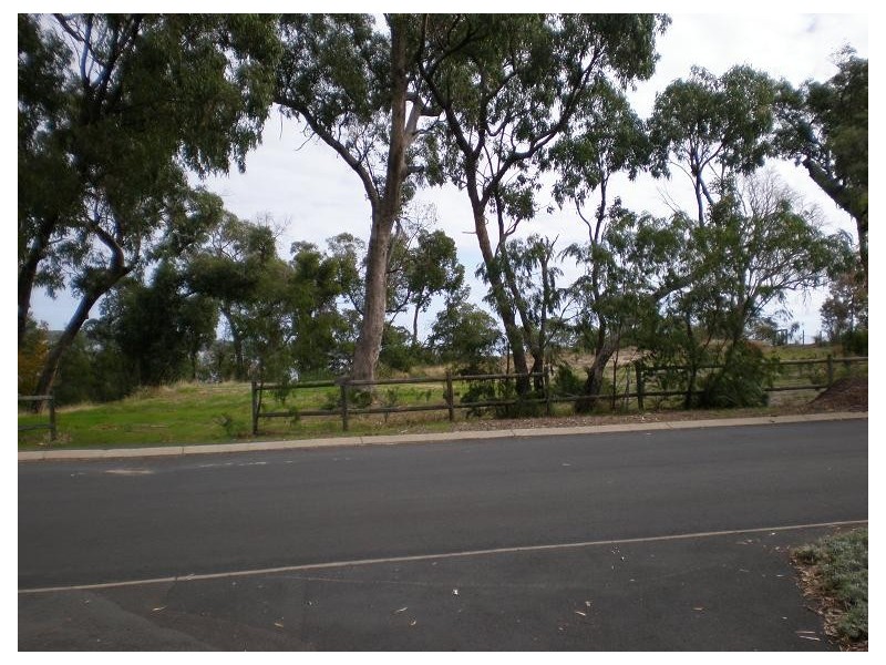 19 Wildflower Way, Leschenault WA 6233