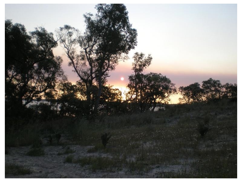 19 Wildflower Way, Leschenault WA 6233