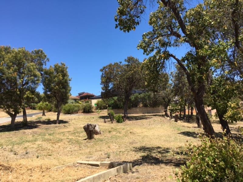 1A Regents Place, College Grove WA 6230