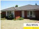 17 Morgan Court, Eaton WA 6232