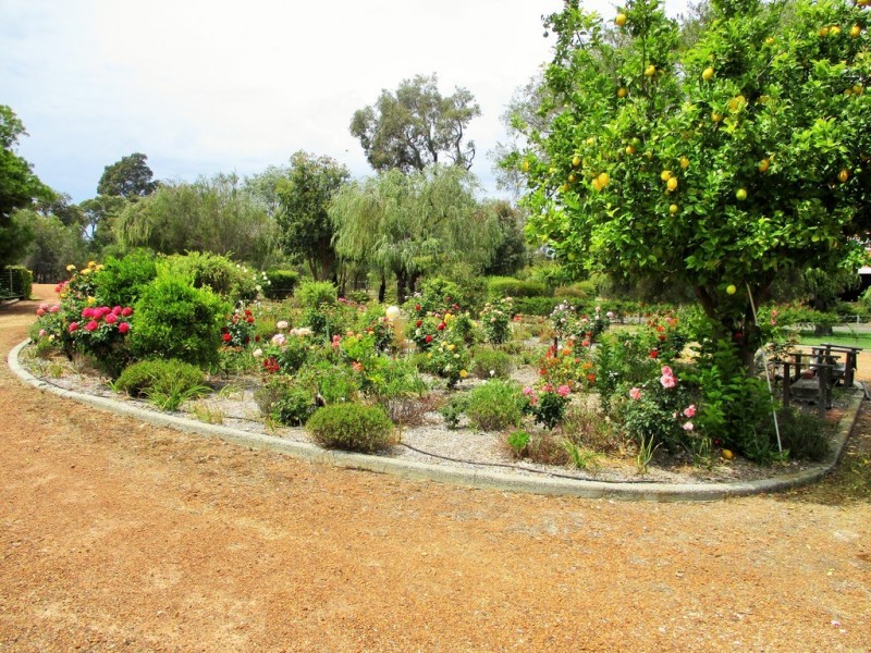 35 Tributary Place, Leschenault WA 6233