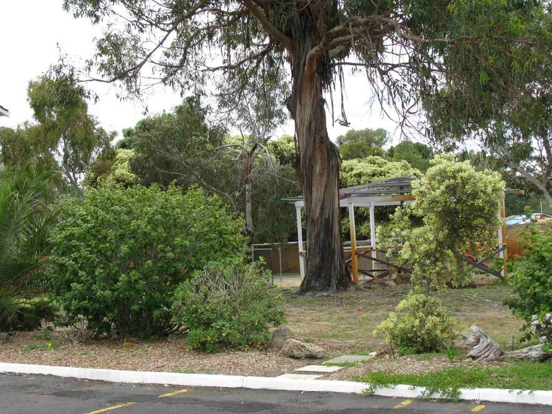 28/2 Rand Court, Withers WA 6230