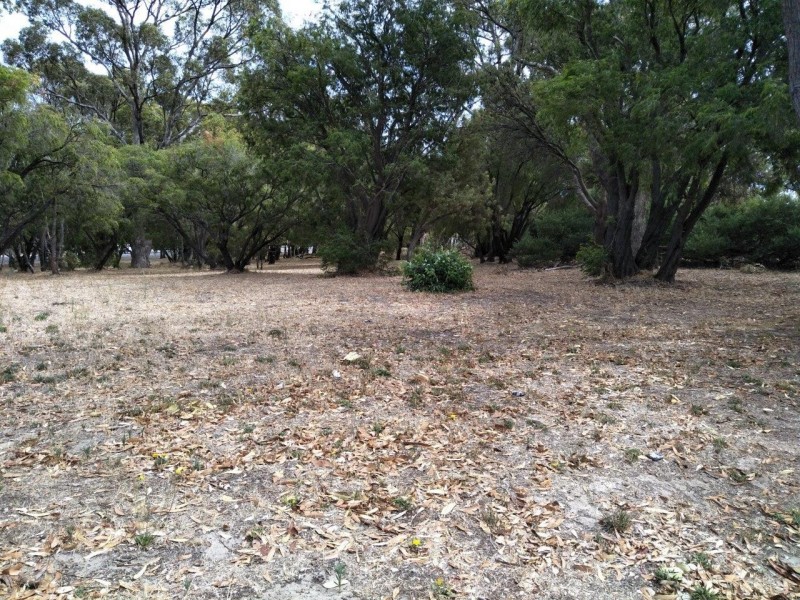 3/23 Steere Crescent, Carey Park WA 6230