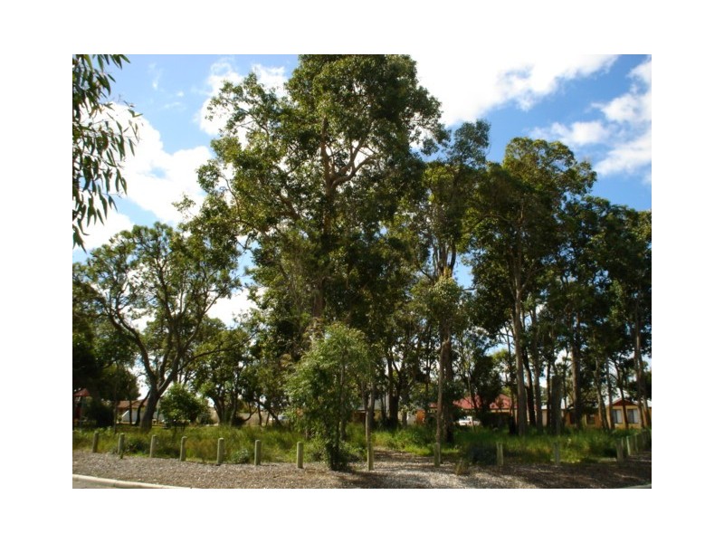 10 Salvia Link, Glen Iris WA 6230