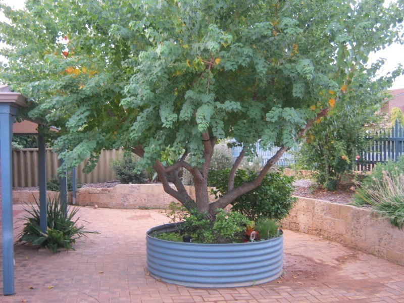 Australind WA 6233
