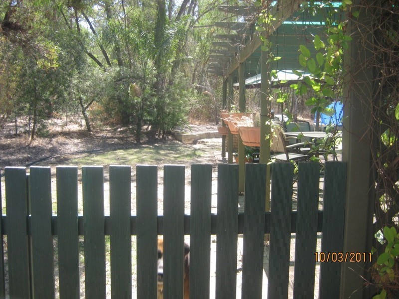 Leschenault WA 6233