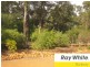 12 Page Retreat, Boyanup WA 6237