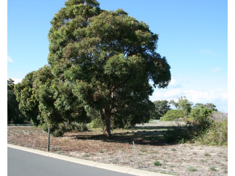 30 Goldsmith Street, South Bunbury WA 6230