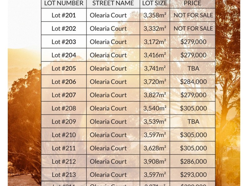 L 203 – 217 Olearia Court, Gelorup WA 6230