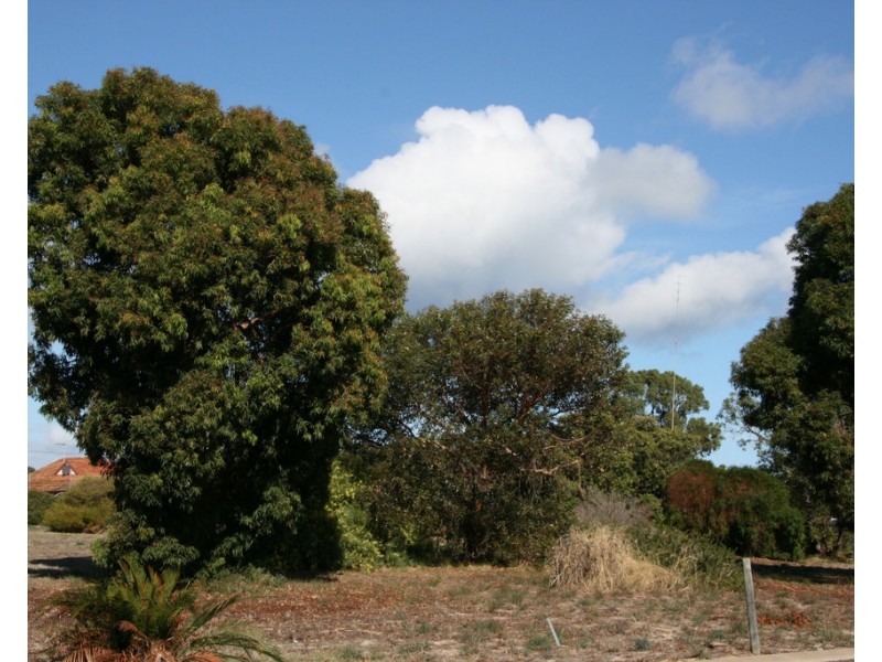 7 Austin Street, South Bunbury WA 6230