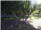 42 Hamilton Road, Eaton WA 6232