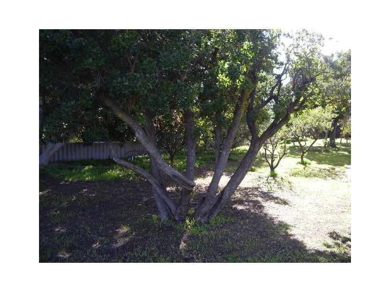 42 Hamilton Road, Eaton WA 6232