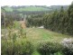 Donnybrook WA 6239