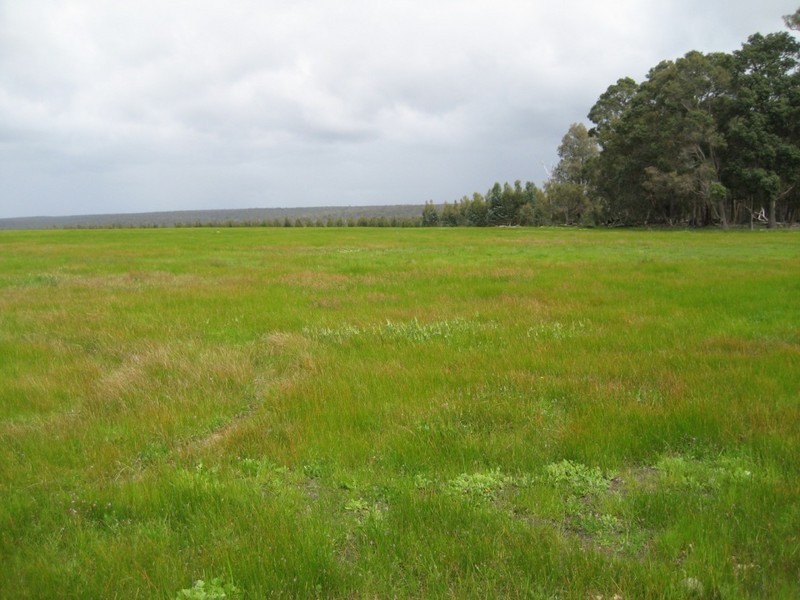 Donnybrook WA 6239
