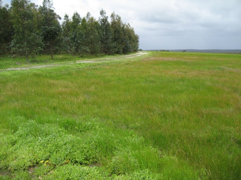 Donnybrook WA 6239