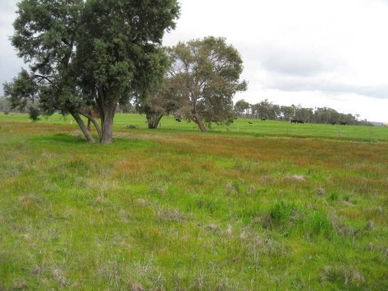 Donnybrook WA 6239