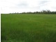 Donnybrook WA 6239