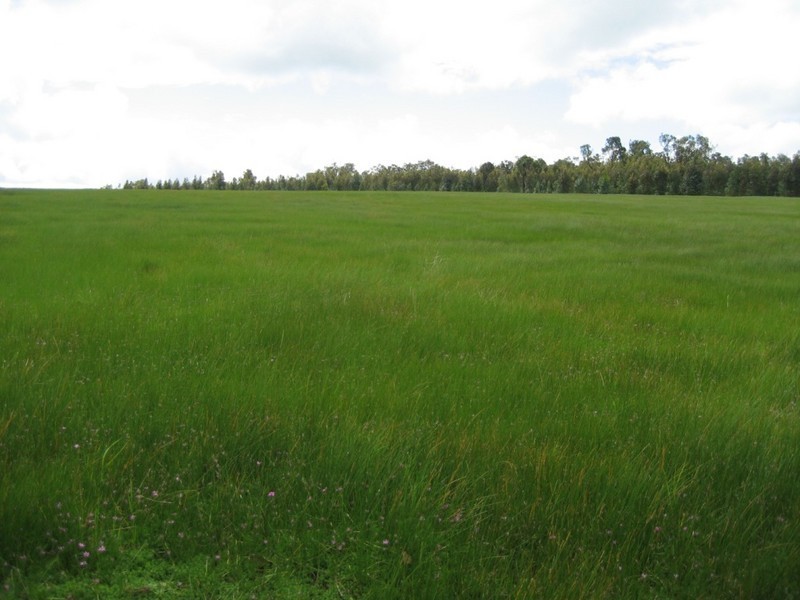 Donnybrook WA 6239