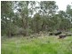 Donnybrook WA 6239