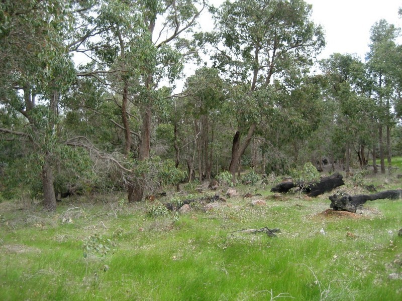Donnybrook WA 6239