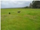 Donnybrook WA 6239