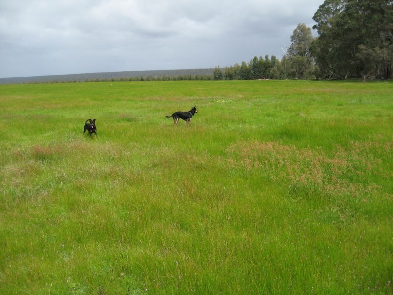 Donnybrook WA 6239