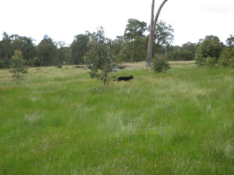 Donnybrook WA 6239