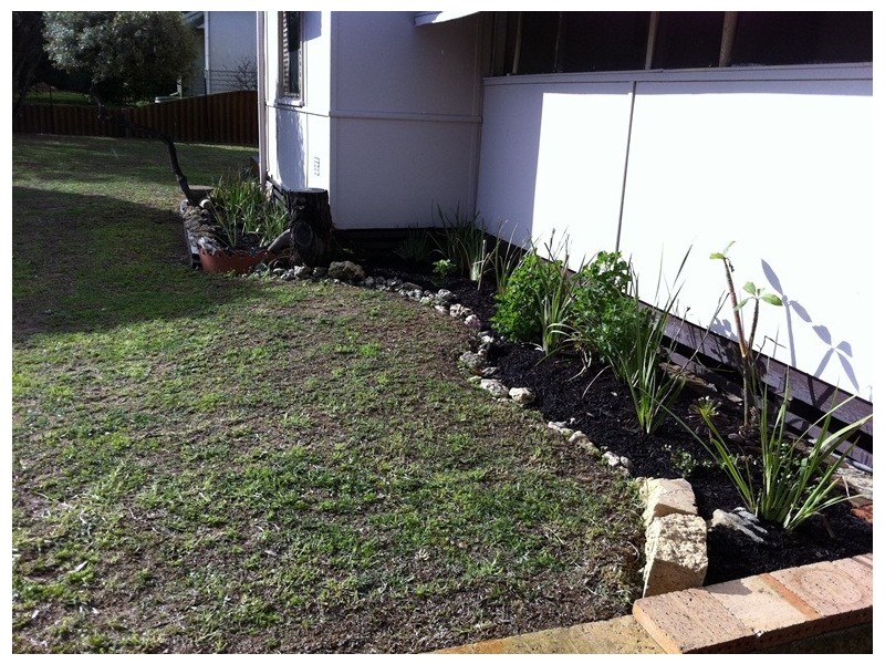 295 Blair Street, South Bunbury WA 6230