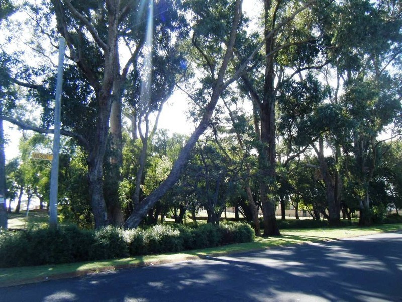 17 Mitchell Crescent, Carey Park WA 6230