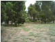 Donnybrook WA 6239
