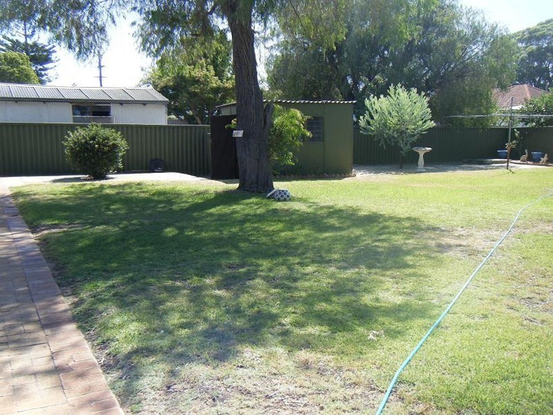 3 Trusty Street, Withers WA 6230