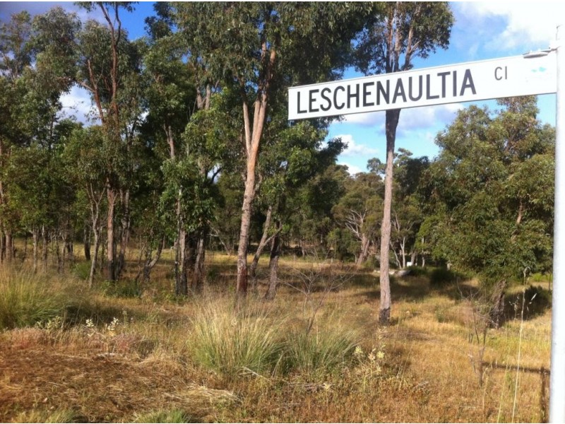 33 Leschanaultia Circle, Donnybrook WA 6239