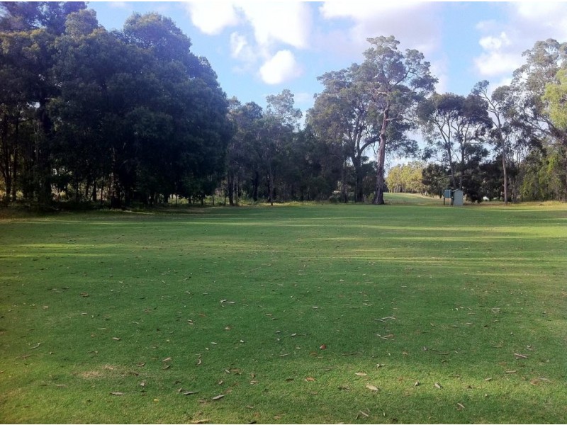 33 Leschanaultia Circle, Donnybrook WA 6239