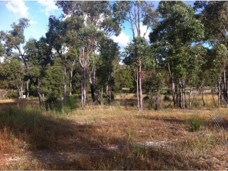 33 Leschanaultia Circle, Donnybrook WA 6239