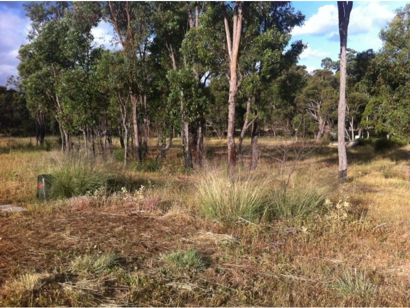 33 Leschanaultia Circle, Donnybrook WA 6239