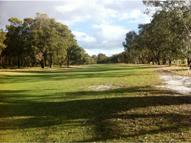 33 Leschanaultia Circle, Donnybrook WA 6239