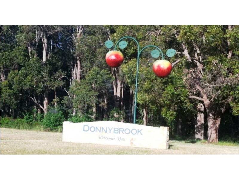 33 Leschanaultia Circle, Donnybrook WA 6239