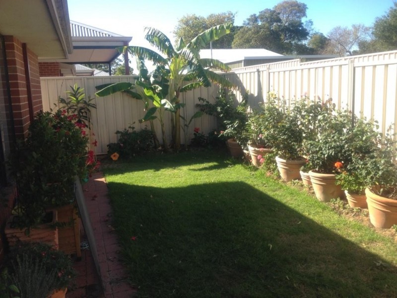 1/12 Nuytsia Avenue, Carey Park WA 6230